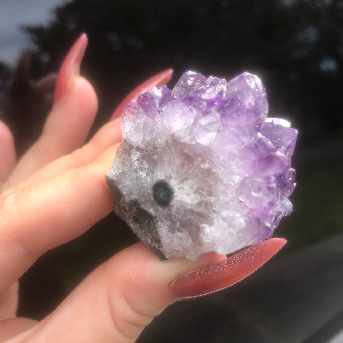 Amethyst Flower Cluster