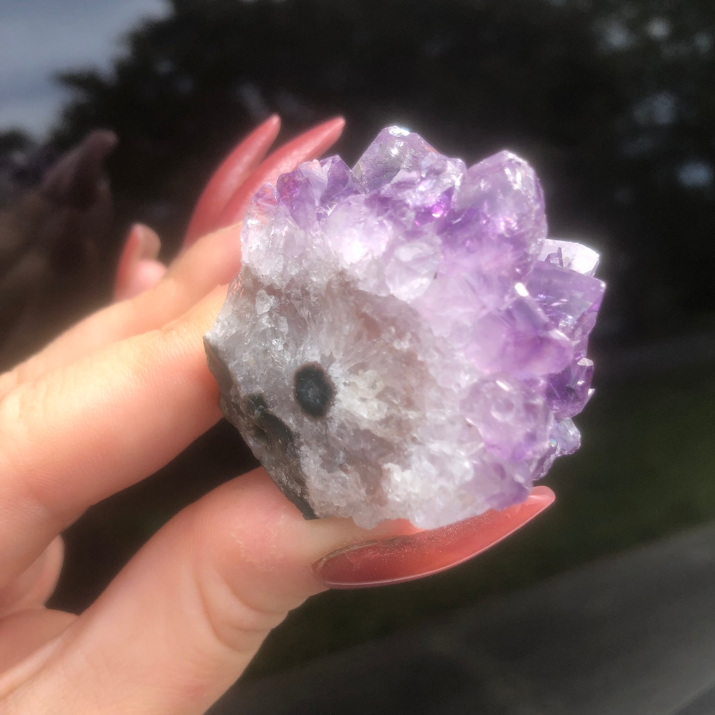 Amethyst Flower Cluster