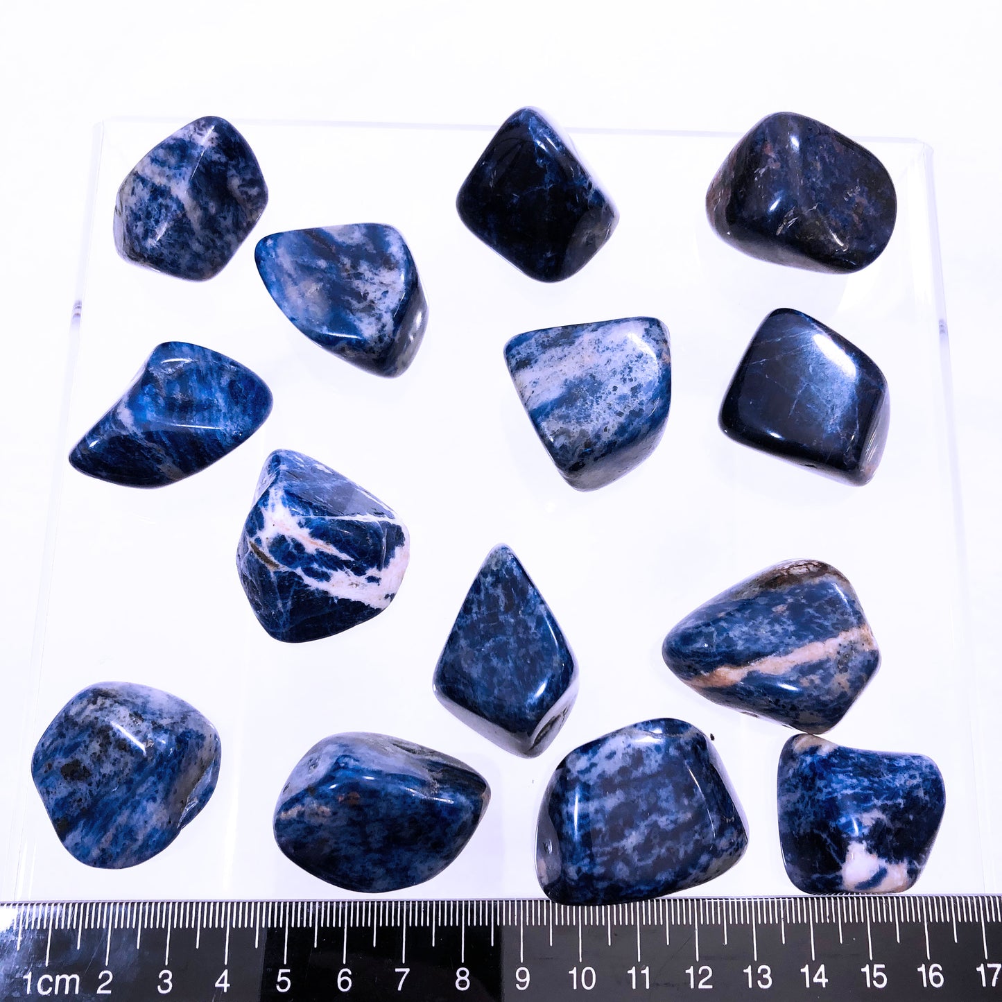 ONE Sodalite Tumbled