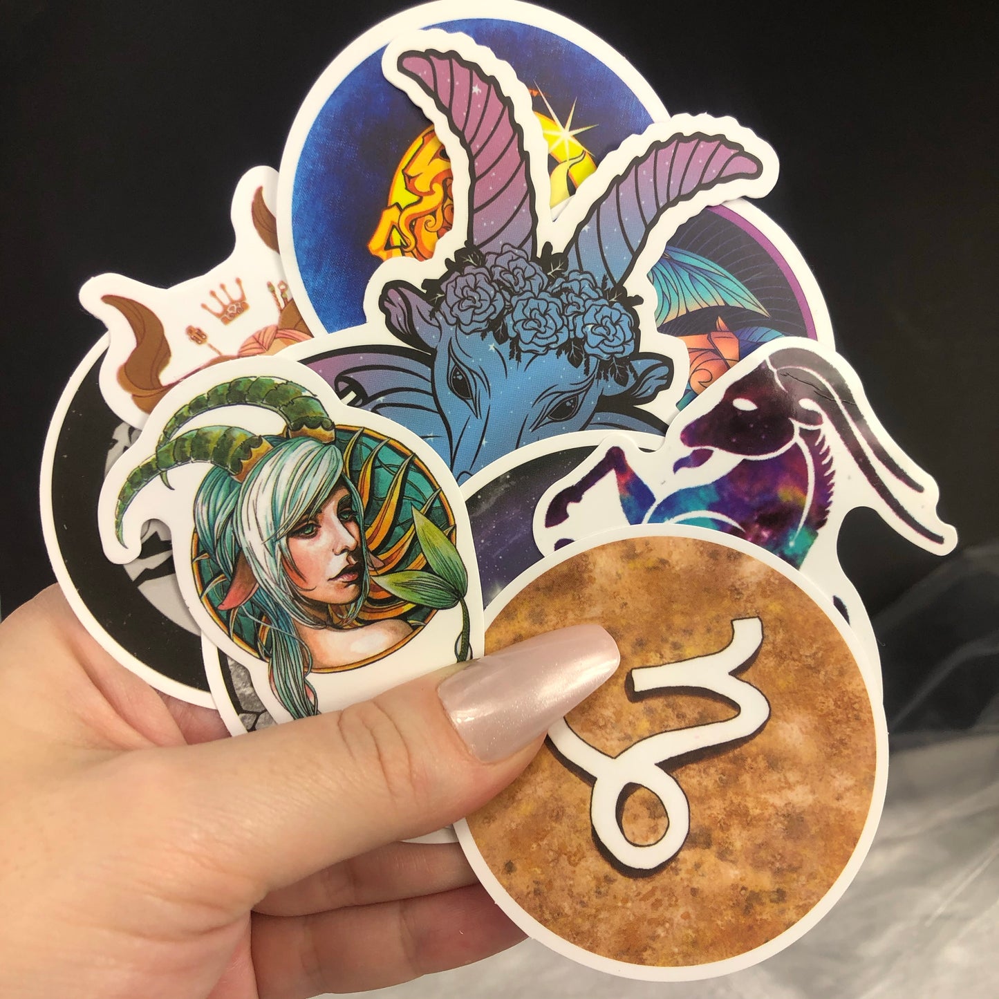 Capricorn Horoscope Sticker Mix -5Pcs