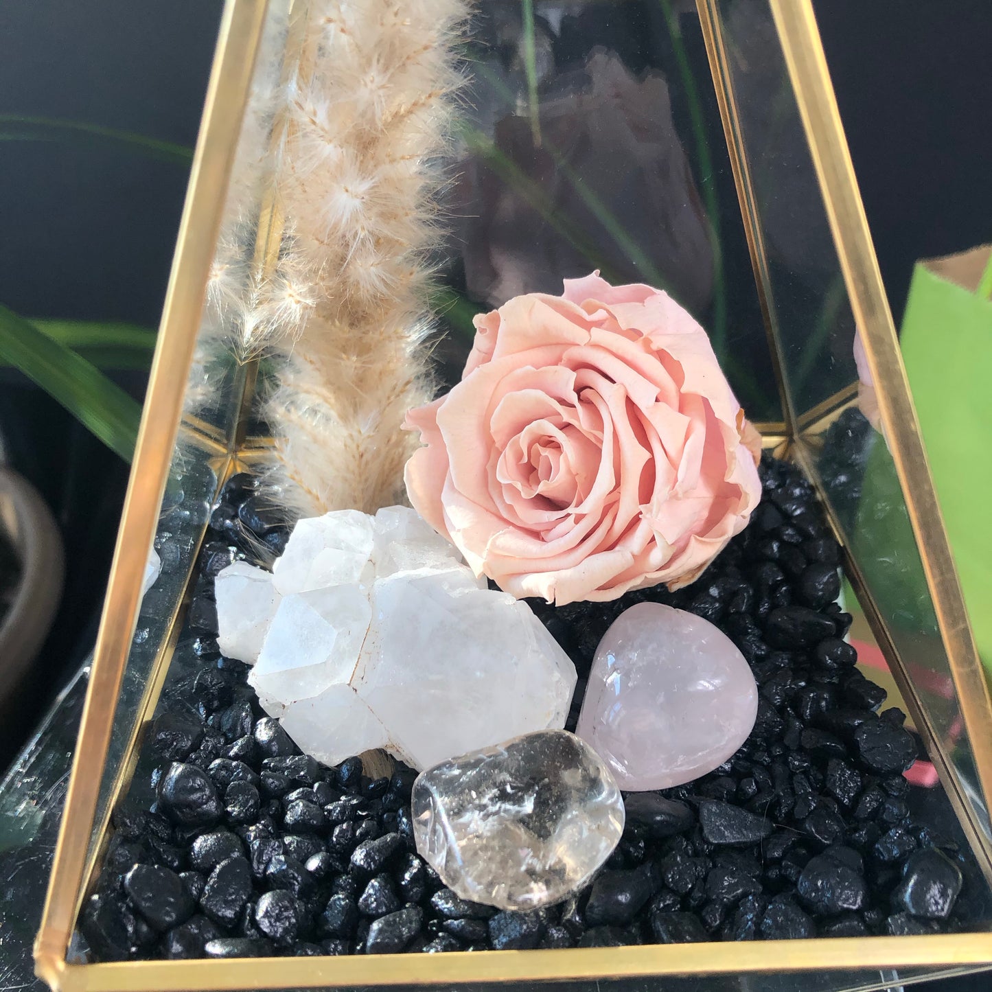Large Crystal Garden Terrarium