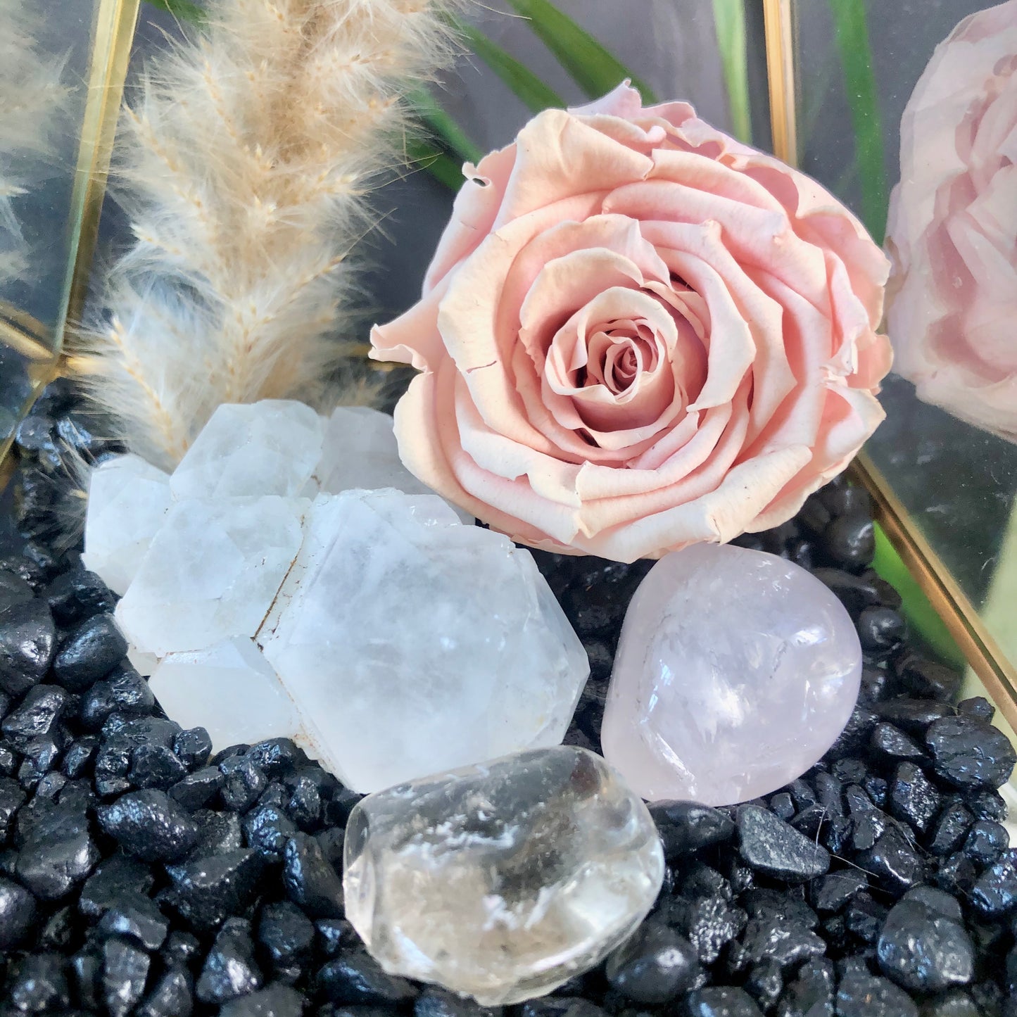 Large Crystal Garden Terrarium