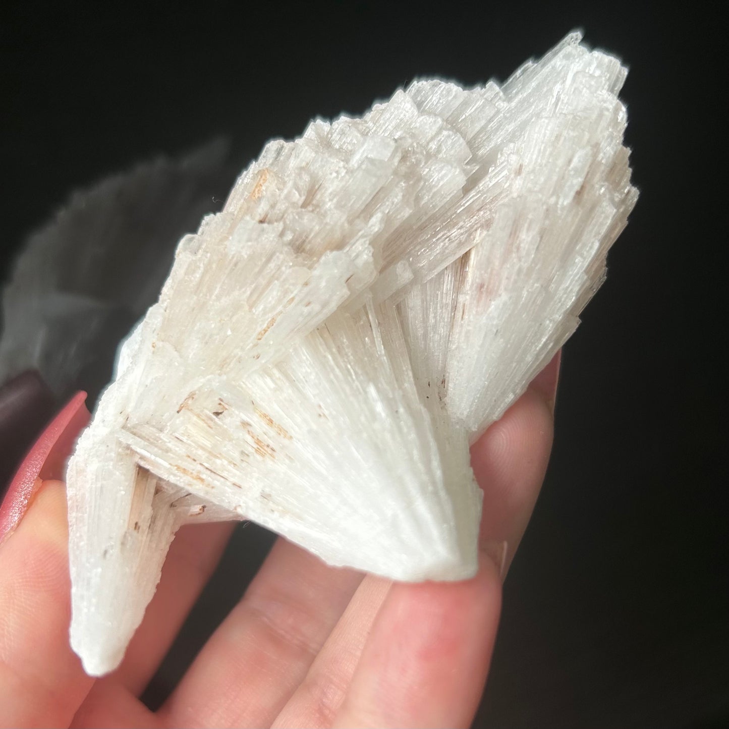 White Scolecite Spray Specimen from India