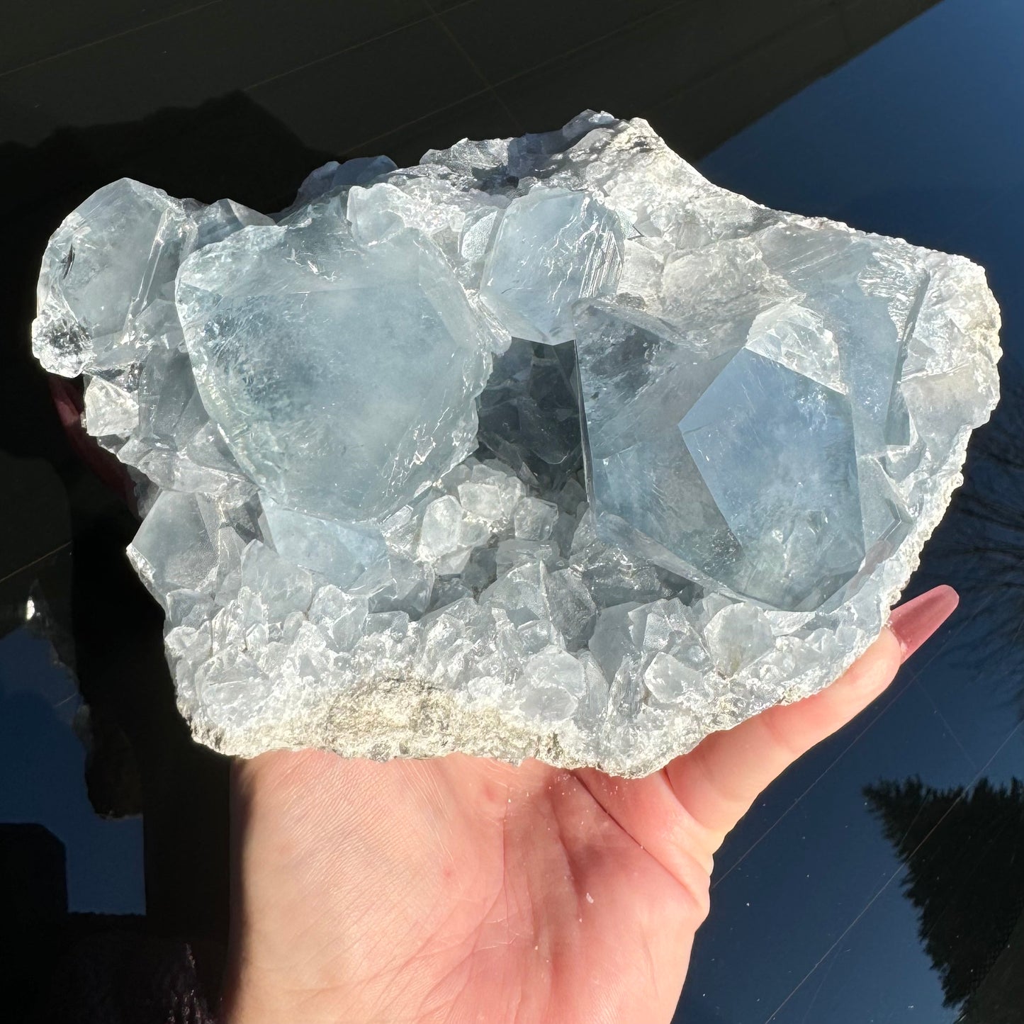 High Quality Large Celestite Cluster