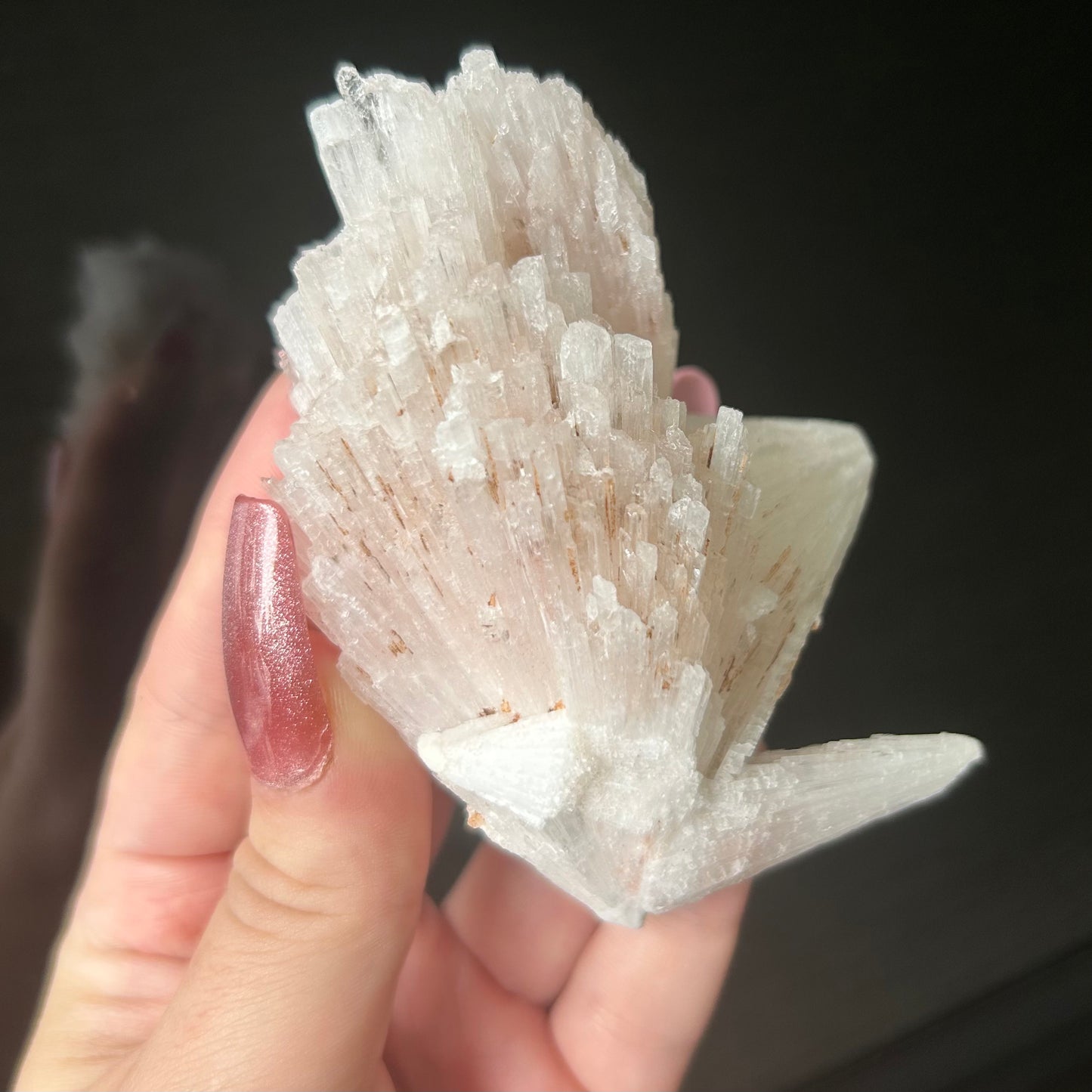 White Scolecite Spray Specimen from India