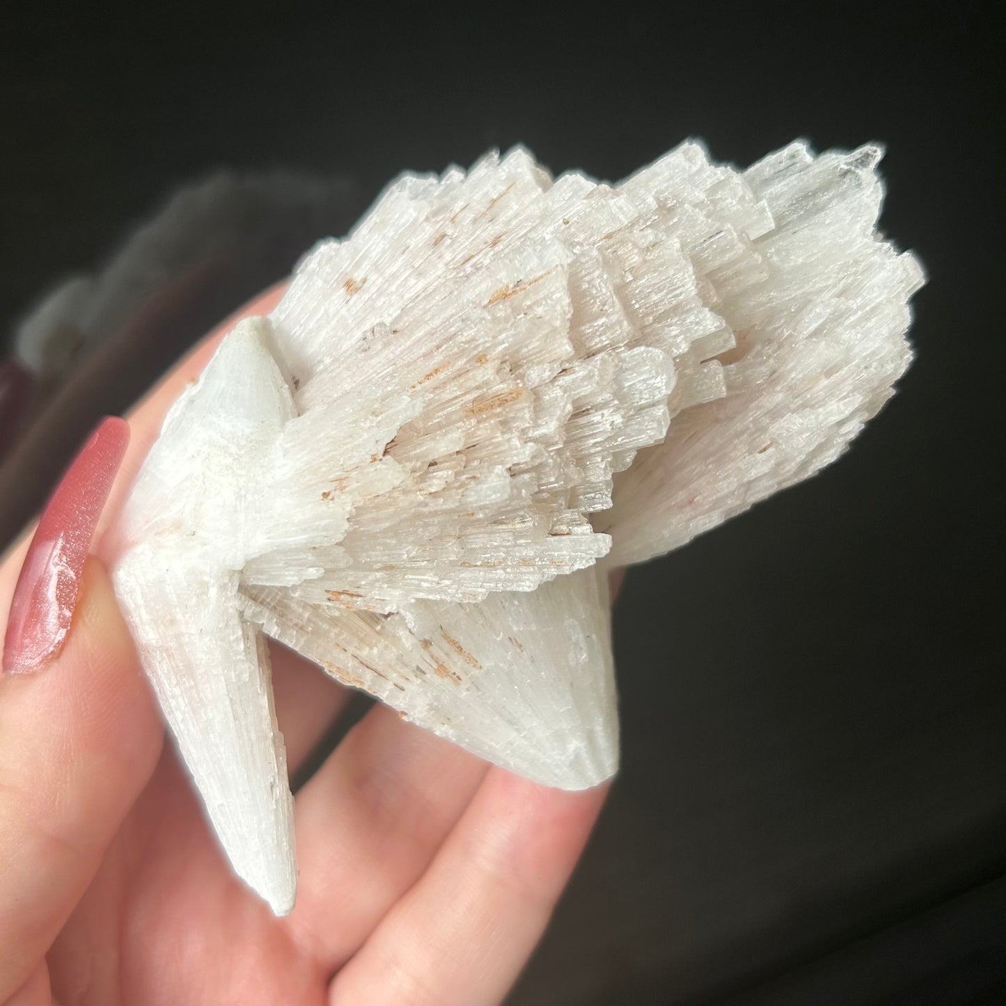 White Scolecite Spray Specimen from India