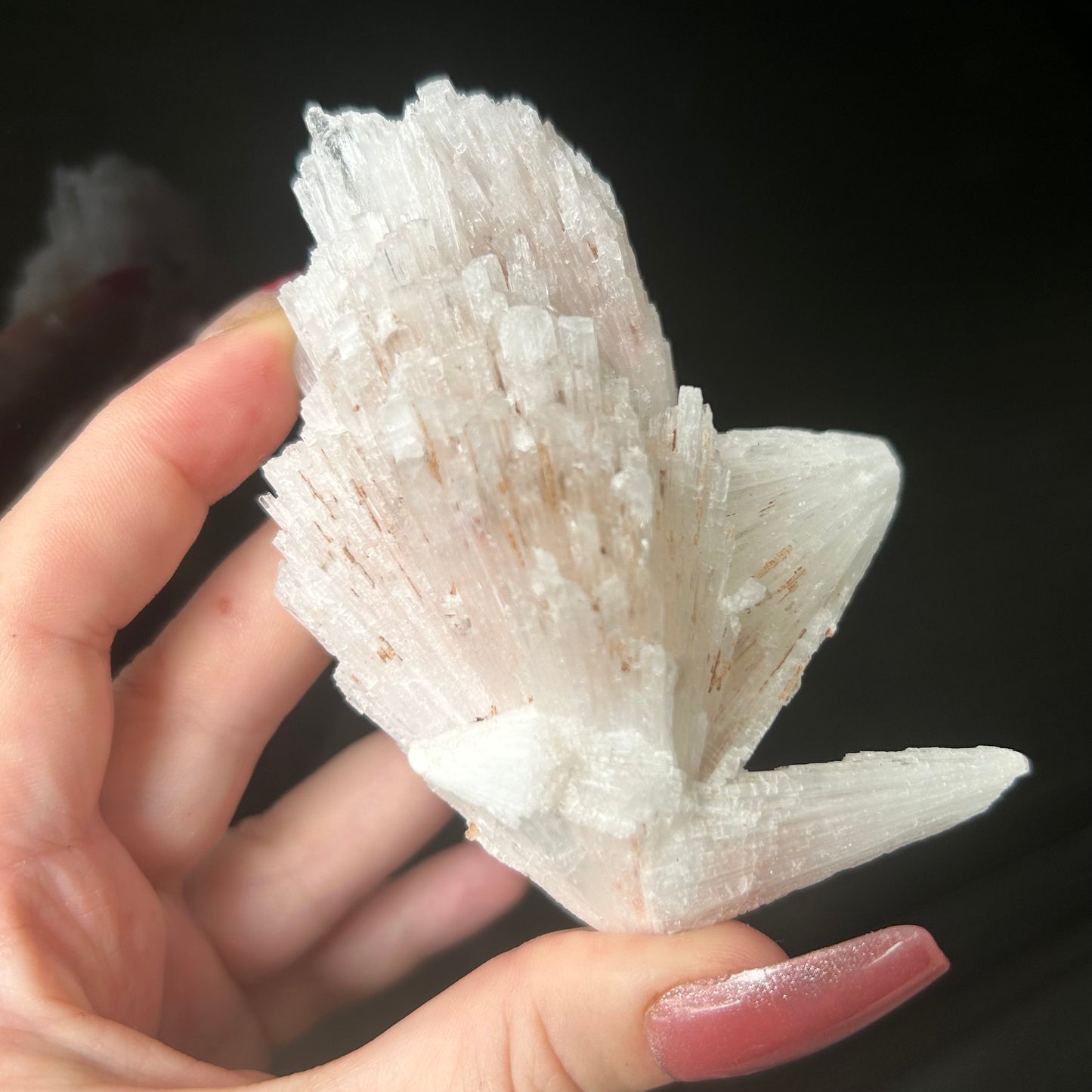 White Scolecite Spray Specimen from India