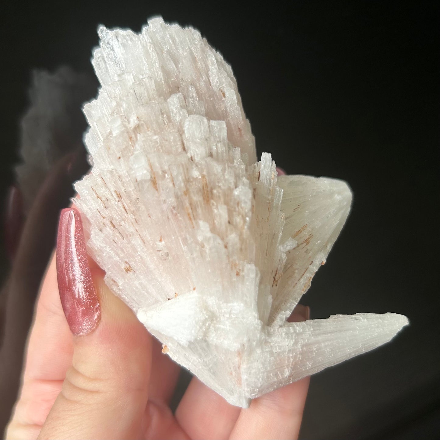 White Scolecite Spray Specimen from India