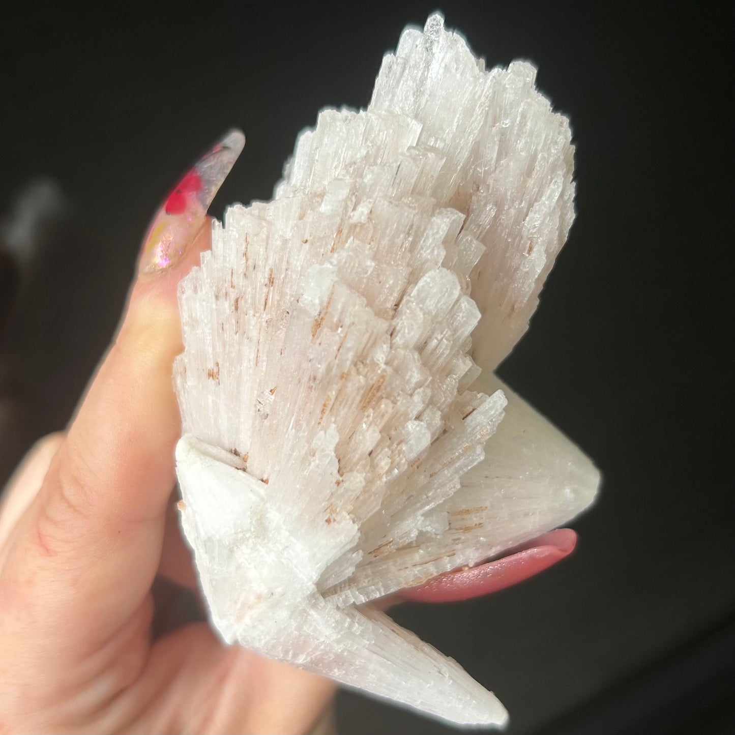 White Scolecite Spray Specimen from India