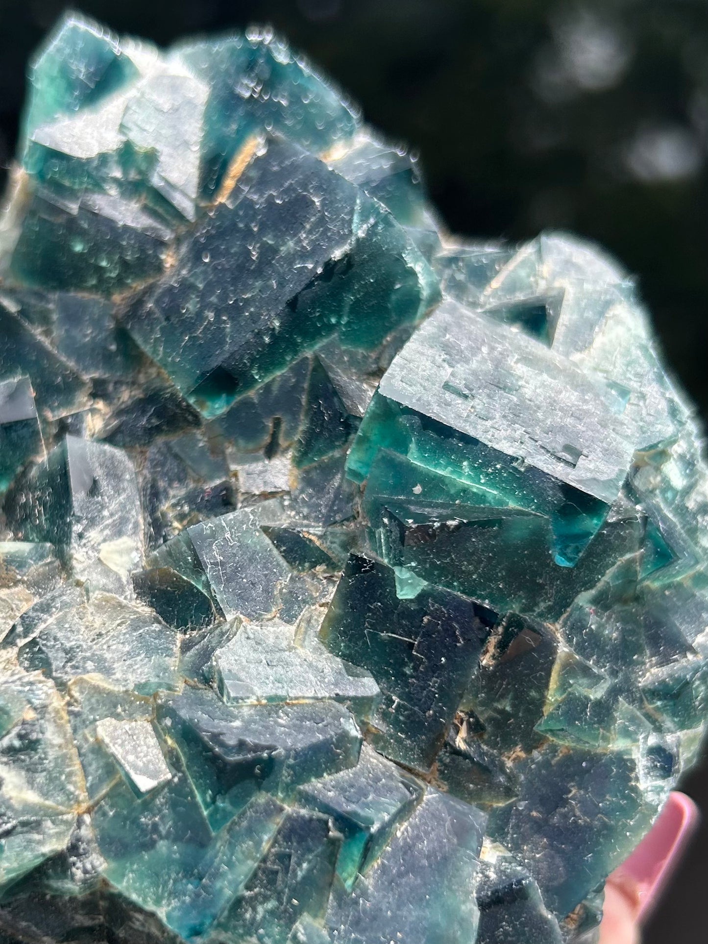 Rare Blue Green Cubic Fluorite