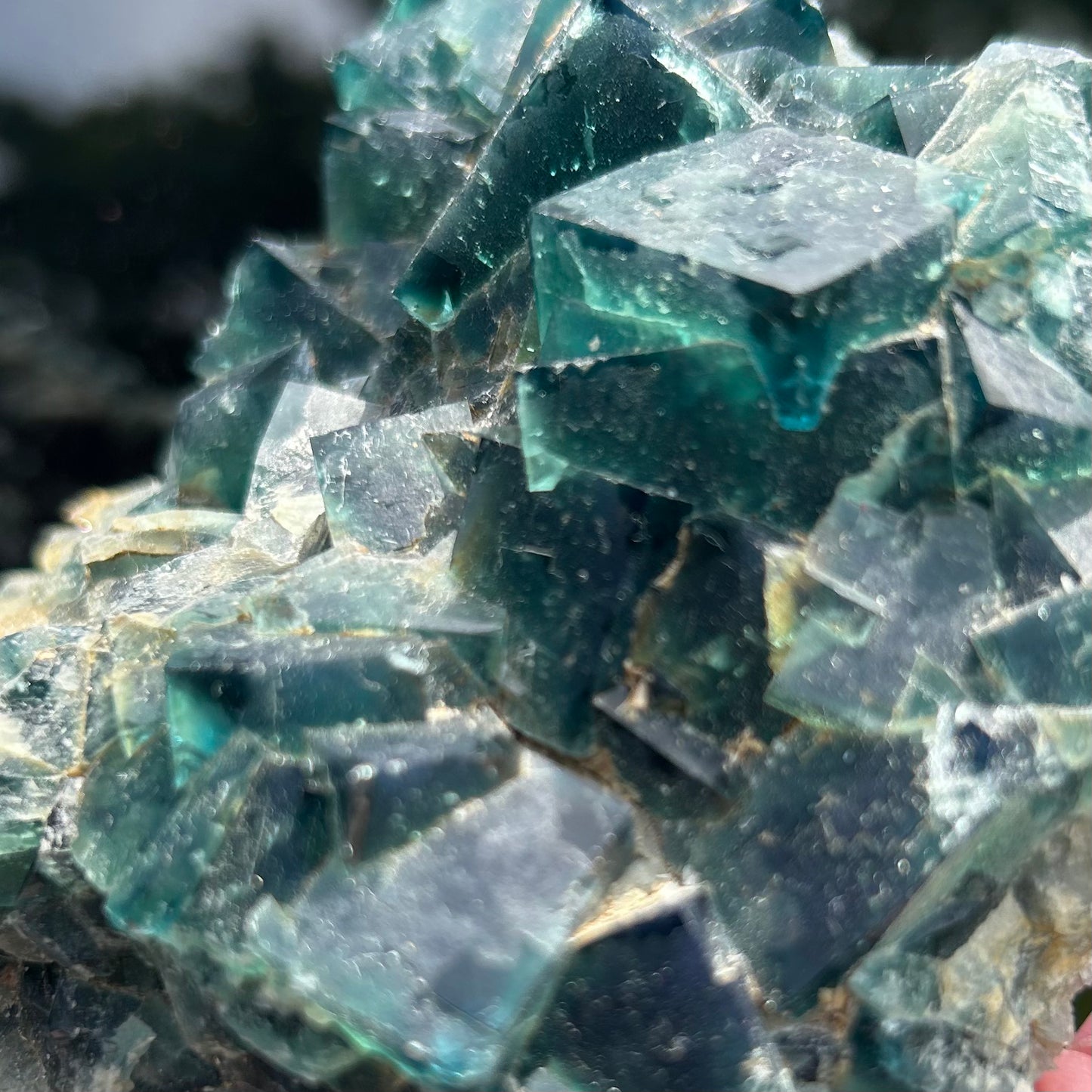 Rare Blue Green Cubic Fluorite