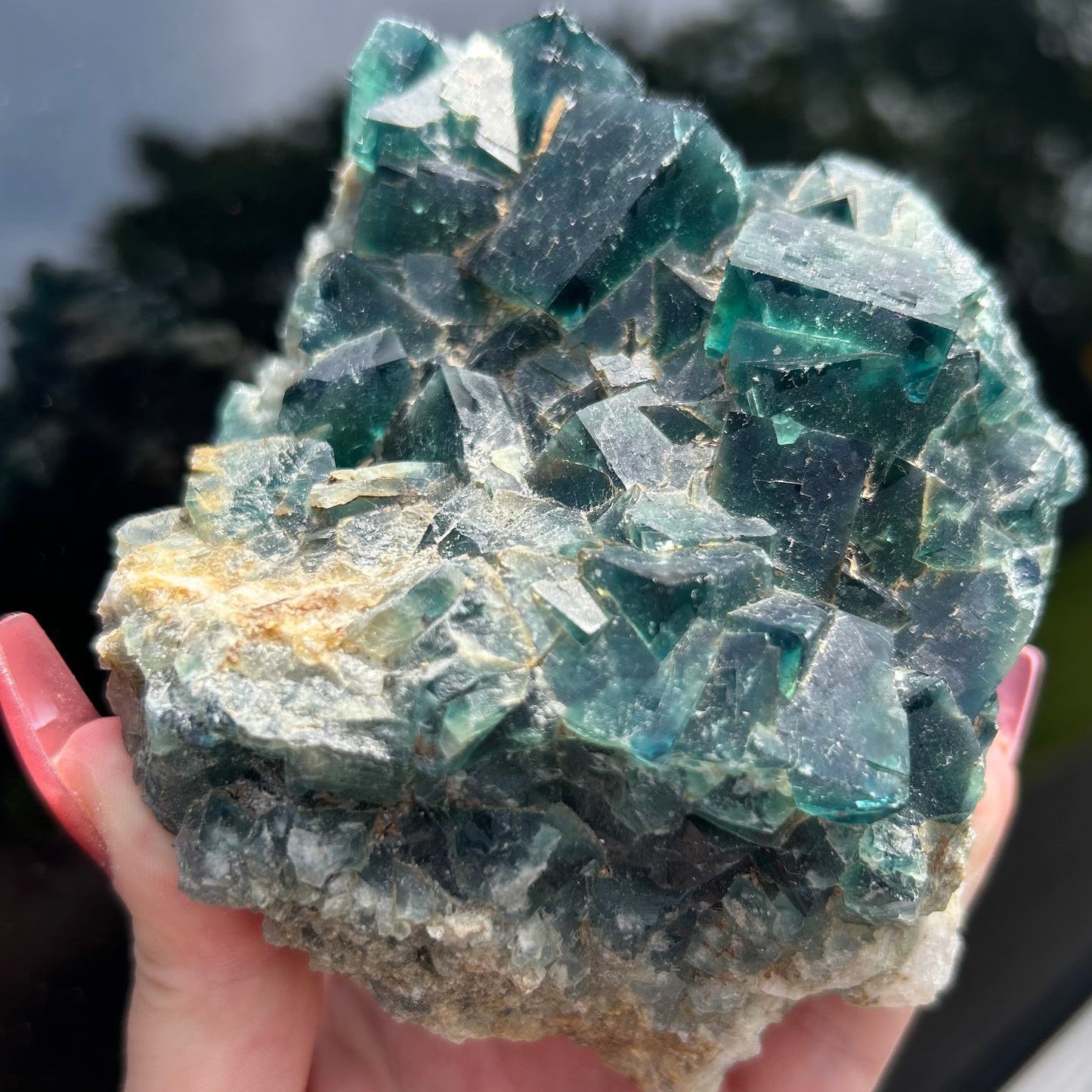 Rare Blue Green Cubic Fluorite