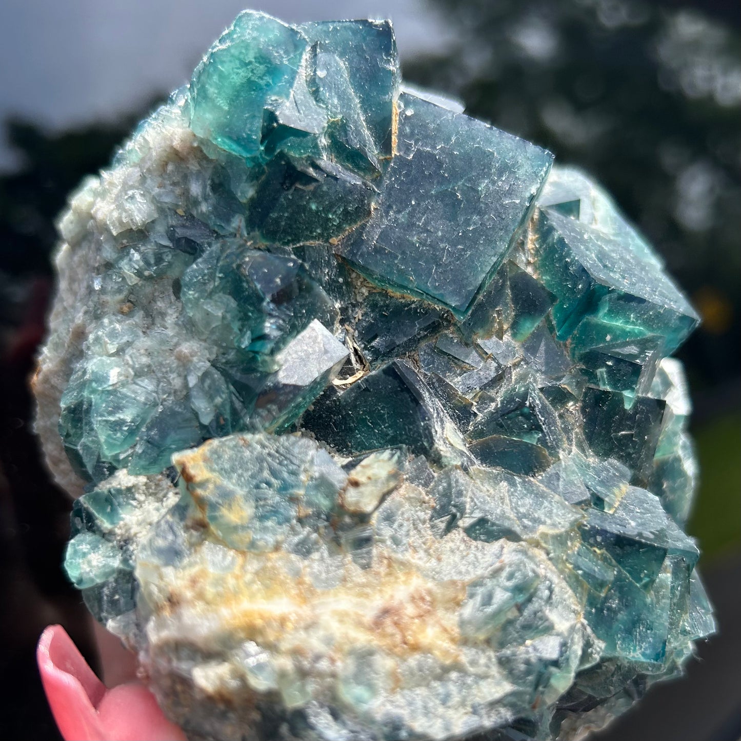 Rare Blue Green Cubic Fluorite