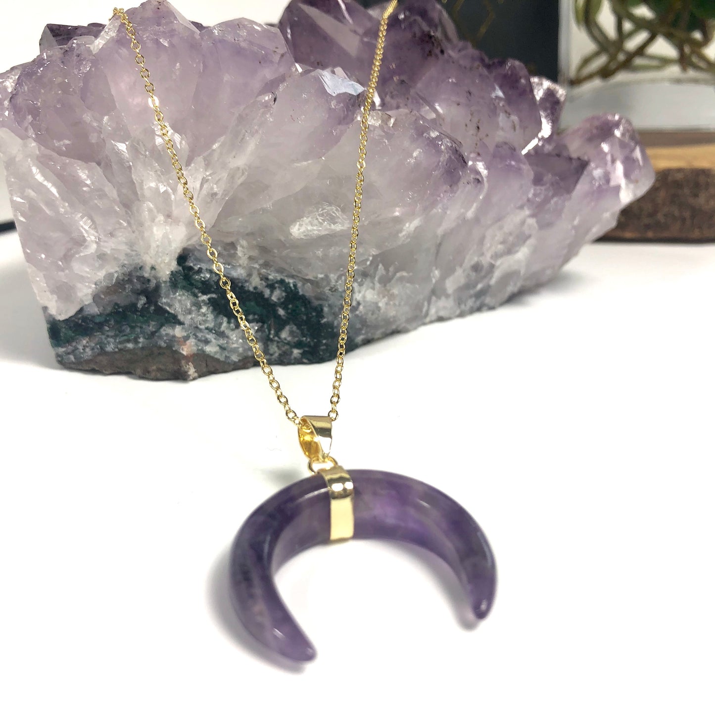 Amethyst Crescent Moon Horn Necklace