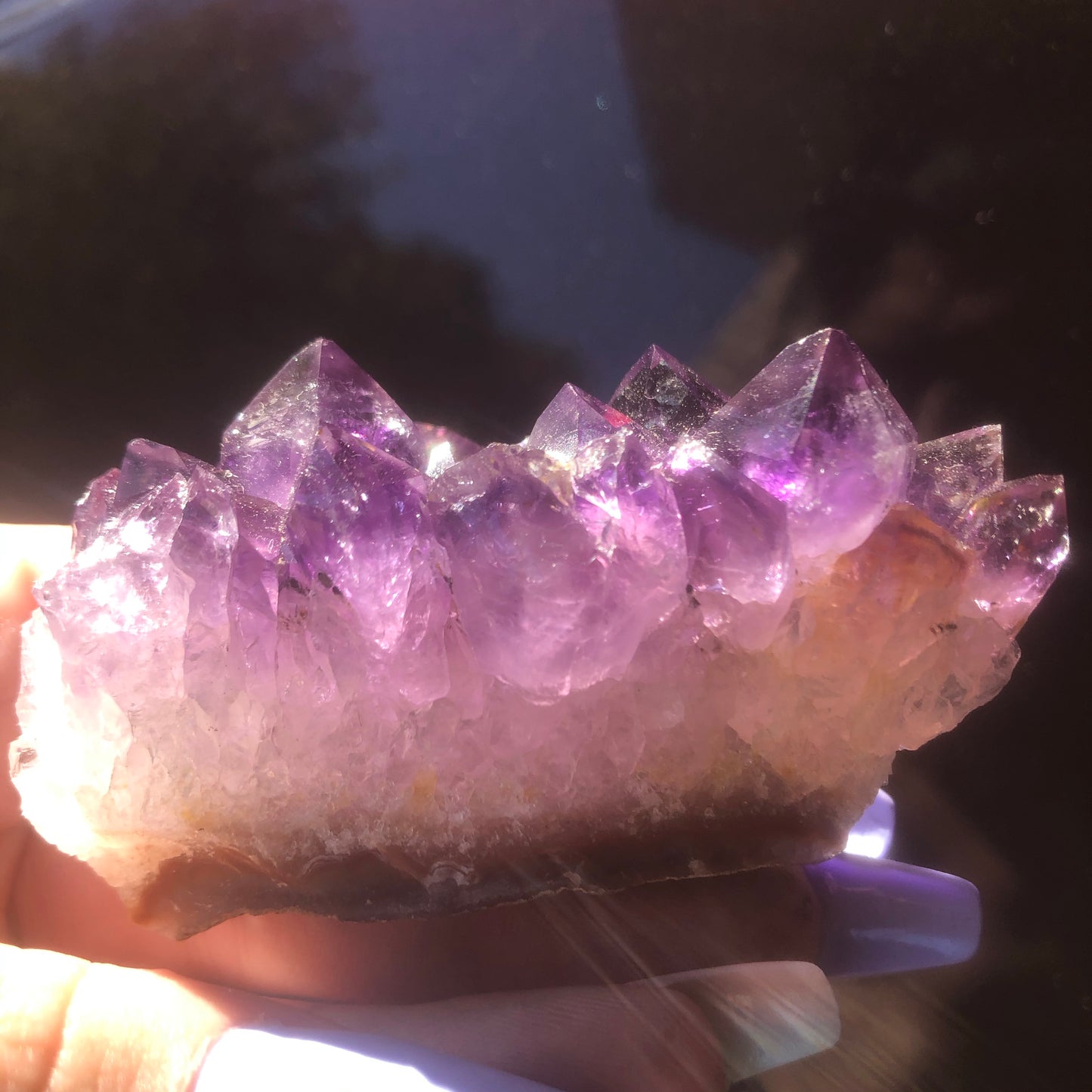 Amethyst Cluster